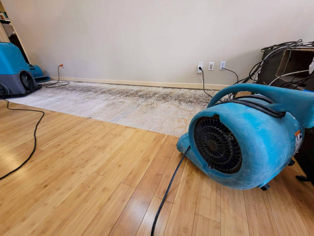Professional Water Extraction technician working in Walterboro, SC